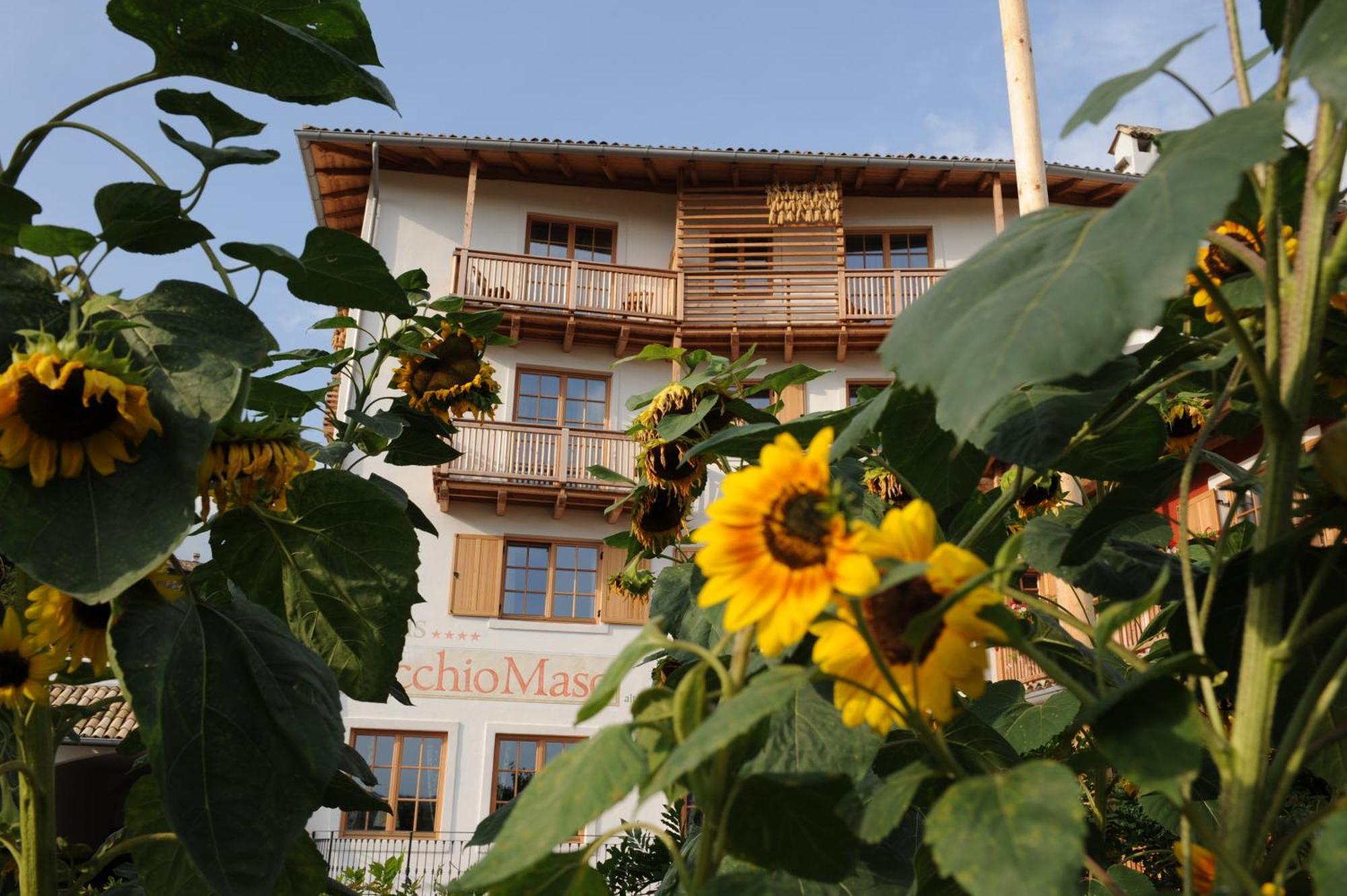 Hotel Relais Vecchio Maso Sopramonte Eksteriør bilde